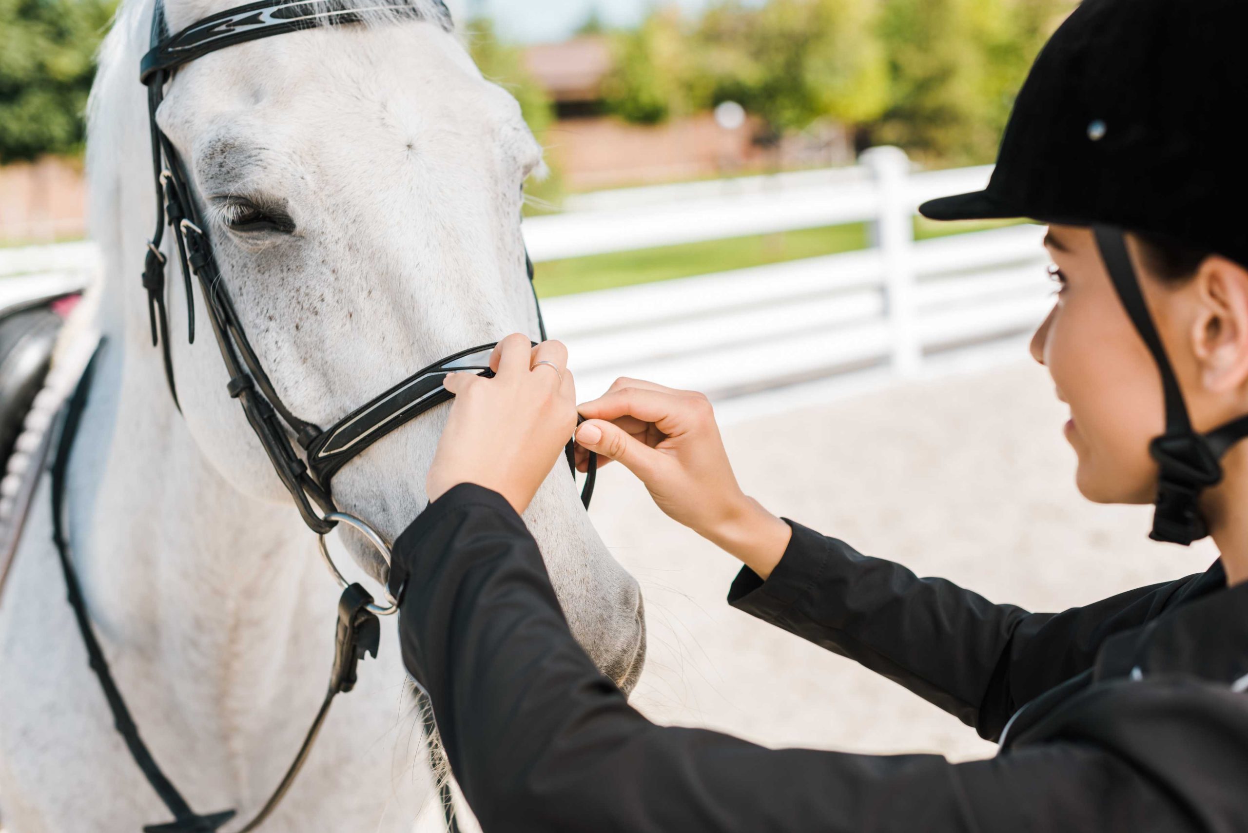 EquiRoyal EquiRoyal